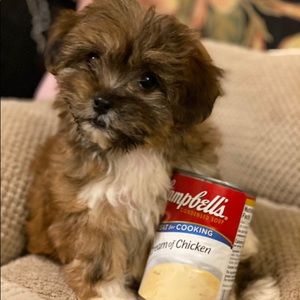 Meet your Posher, Lynne